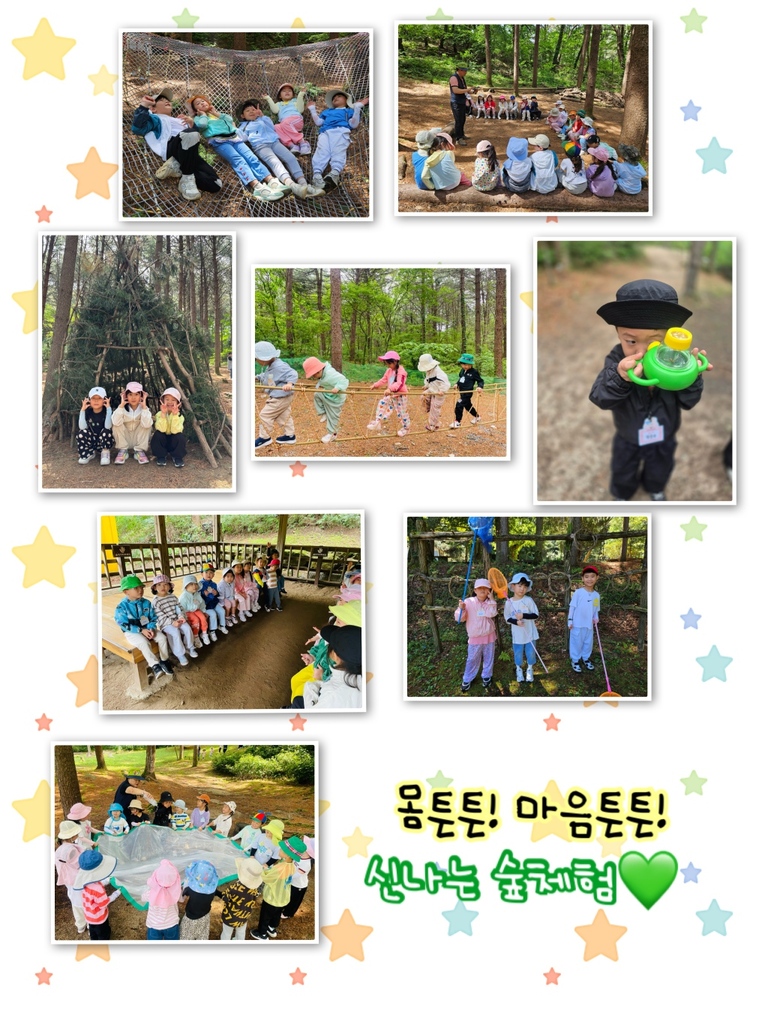 숲체험